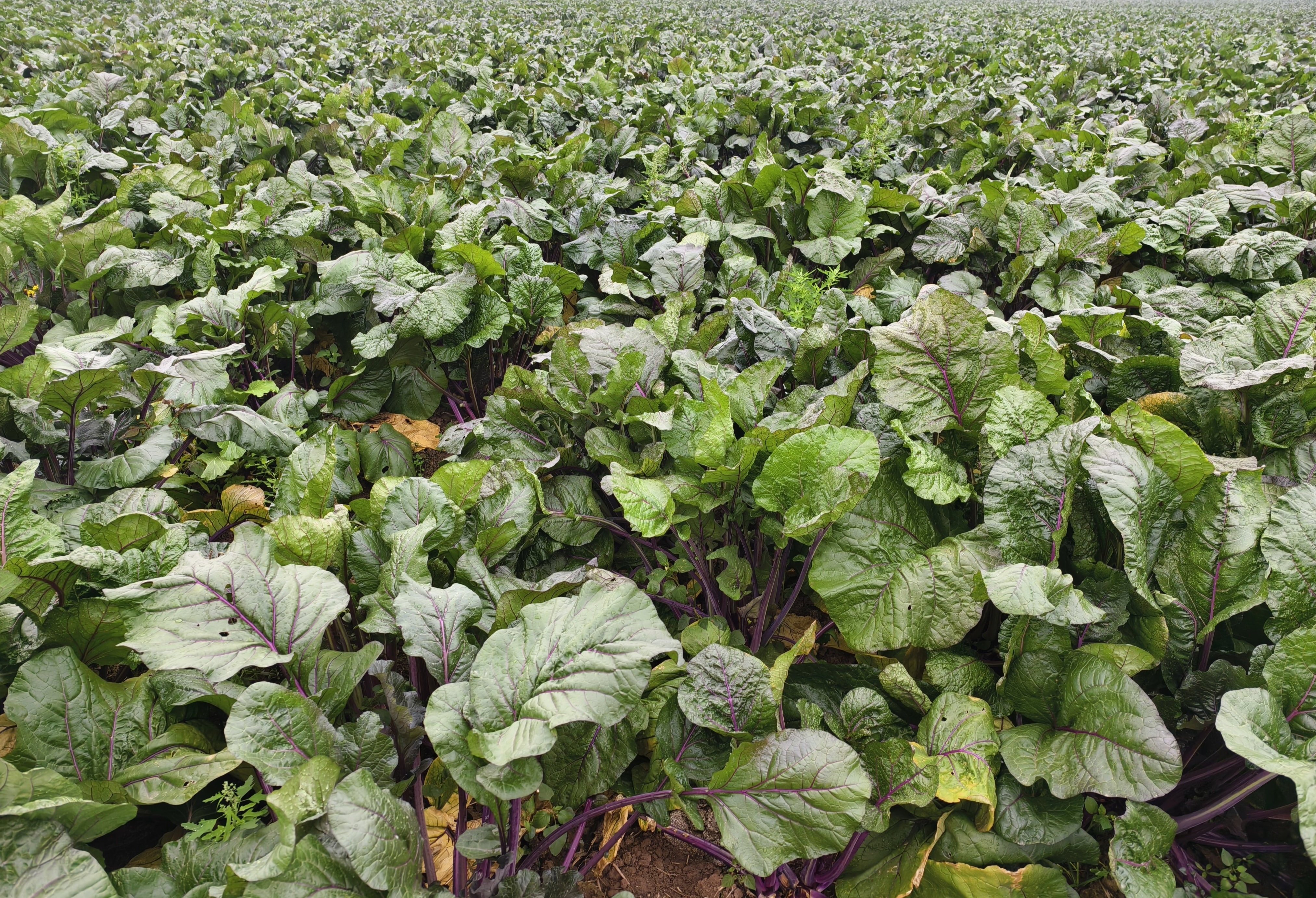 7bfd22d680f8c589313a91c4ee6e68a.jpg 7bfd22d680f8c589313a91c4ee6e68a.jpg